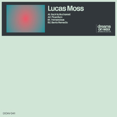 Lucas Moss - Santo Remedio (Original Mix)