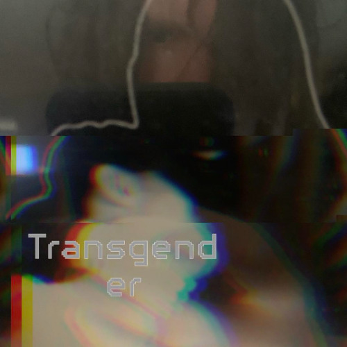 Crystal Castles - Transgender (Fear The Priest Techno Rework)