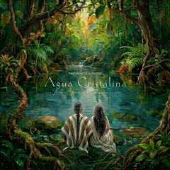 Agua Cristalina (Live at Heartbeat ceremony)