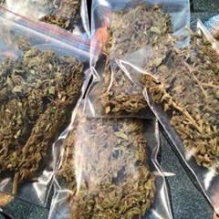 NST - CHO EM BỊCH CỎ VOL6 -VIETMIX 2K24