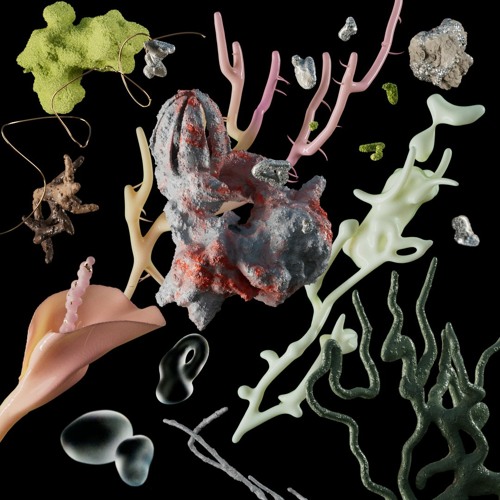 STILL LIFE by Flowgardenz x Karina Kazaryan x Ignat Olenev