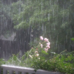 rain got me depressed prod me