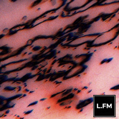 L.FM003 09/27/25 W/VersionOne