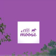 moose - in my bag (ft. Key Notes)