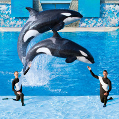 SEAWORLD
