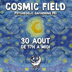 COSMIC FIELD 30.08.2025