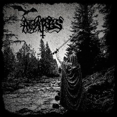 Possesed By The Soul Of The Forest