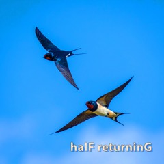 halF returninG [naviarhaiku633]