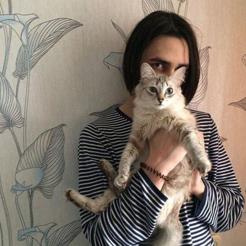 FACE - Кот (Кошки-Мышки)