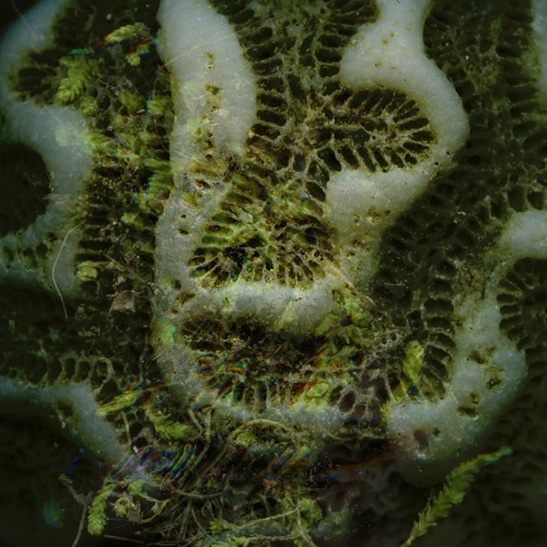 Bodiah - Limbic Dirge