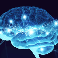 Neuroscience