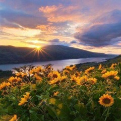 Sunflower River Blues (John Fahey) - demo