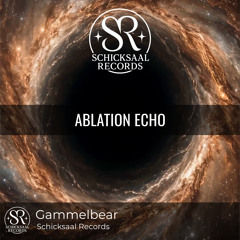 Ablation Echo