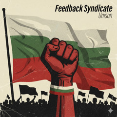 Политическа Интрига (Feedback Syndicate)