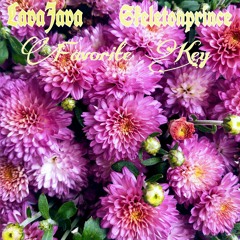 Skeletonprince x LavaJava - Favorite Key (prod. reesoo)