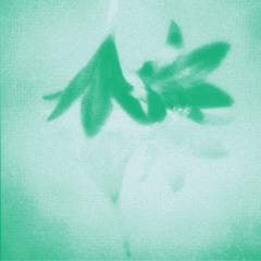 @mar_b3ll0 + @tala silva friends remix