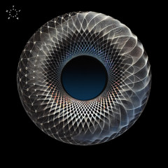 PREMIERE: Schott - White Owl [Flash Recordings]