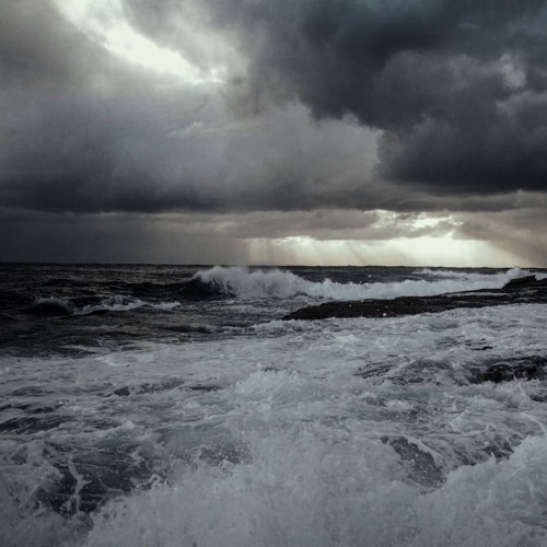 SY/N - A Garden With Golden Fences, A Melancholy Fiend