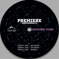 PREMIERE: Pattern Tusk - Undivided [Carpathian Sounds]