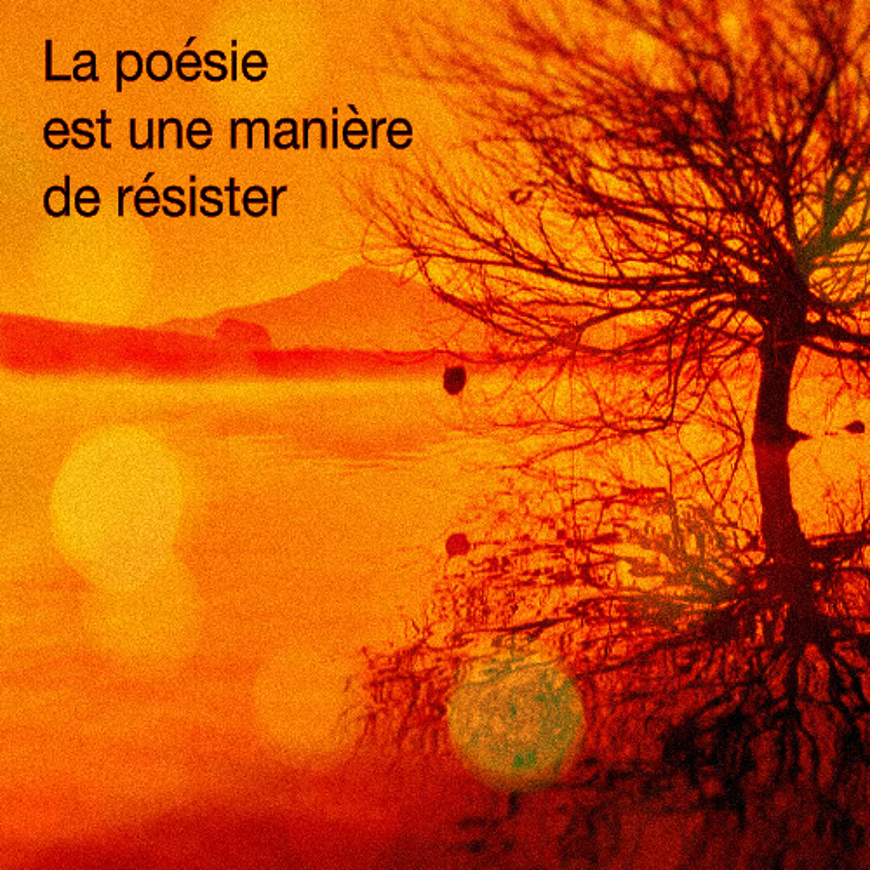 MICROPHONE FRANCOPHONE 15.4 episode artwork