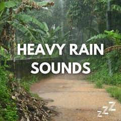 Gentle Rain Sounds