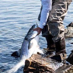 Fisherman's Prayer