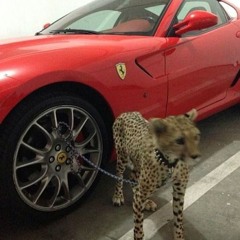 corp+, parkervs & bbsosa - shikasta 2