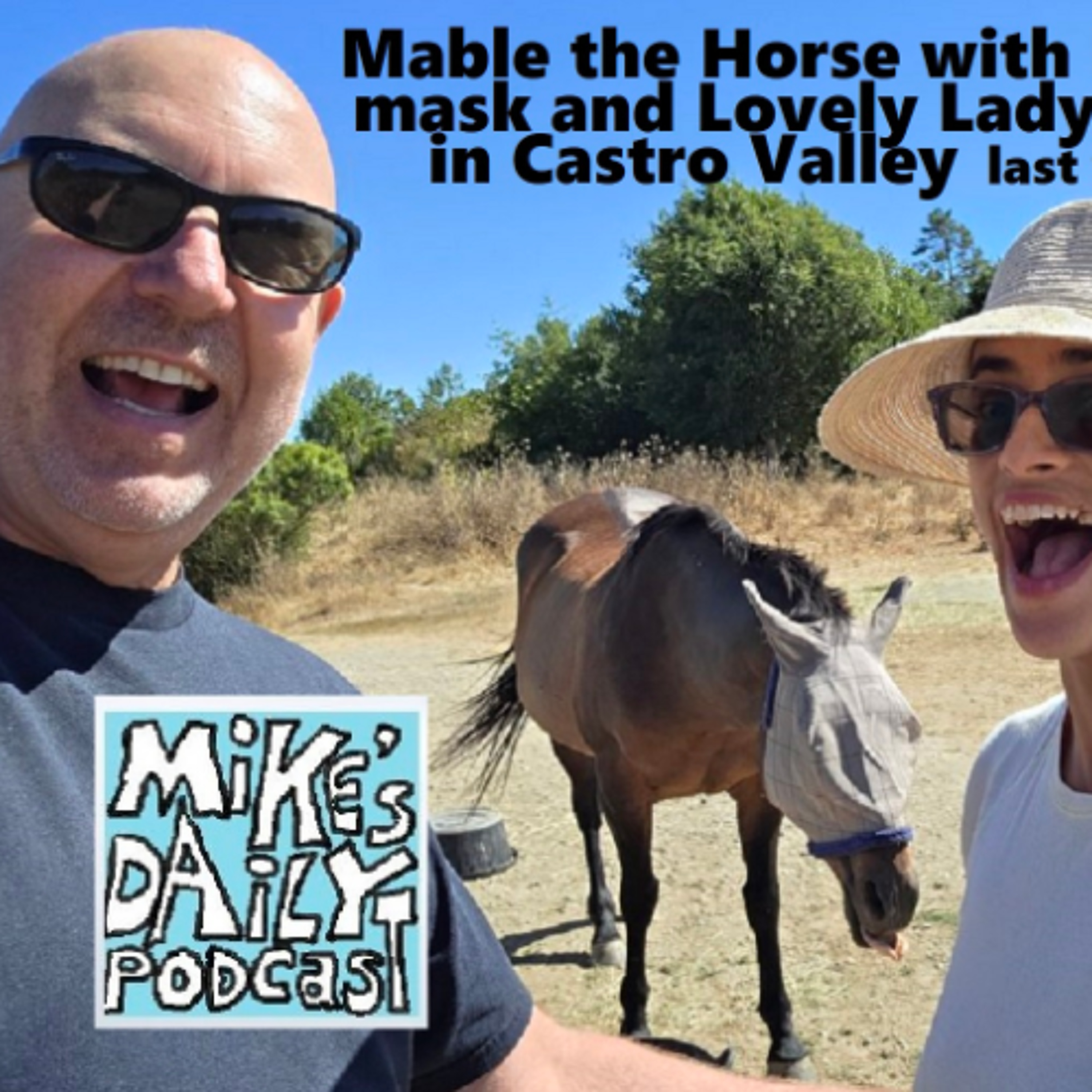 MikesDailyPodcast 3339 Bidding episode artwork