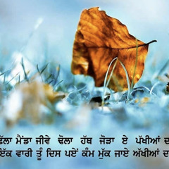 Enna Tainu Pyar Karan (Balkar Sidhu)