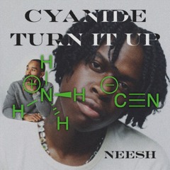 CYANIDE x TURN IT UP ( neesh edit )