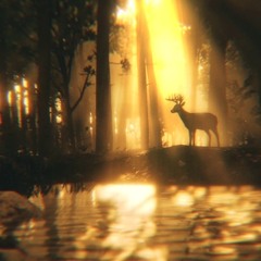 deer death - middle ground (Slowed + Reverb)