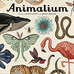 Read EBOOK ✔️ Animalium: Welcome to the Museum by  Jenny Broom &  Katie Scott EPUB KI