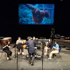 Long Calling From The Gardeners Of The Forests (2022)