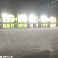 MIASMA06_BSW