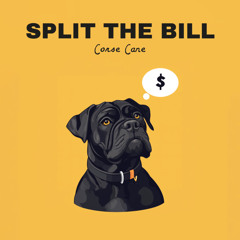 split the bill