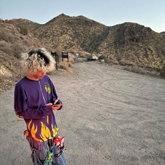 why pt2 (prod.xaliumm)