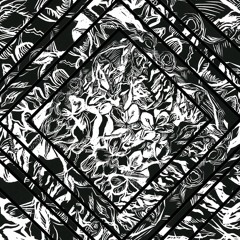 DRILLPREMIERE: Idem - Light Up My Fire [Nü Kvlture]