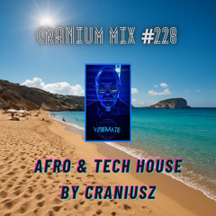 Cranium Mix #228 / Afro & Tech House