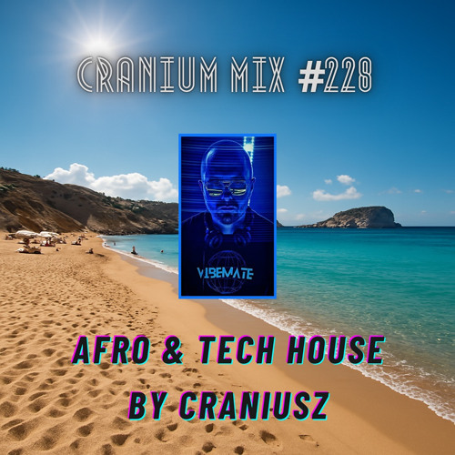 Cranium Mix #228 / Afro & Tech House