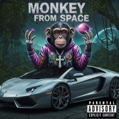 Monkey From Space!