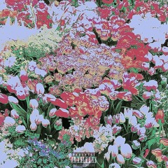 Tears Bloom