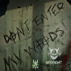 Rayxnshit - DON'T ENTER MY WOODS feat Phil The Void (prod. ARAGOTH)