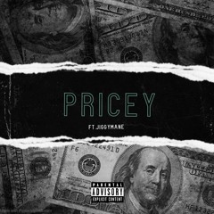 PRICEY (feat. Jiggy Mane)