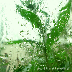 Focus Rain On Shore