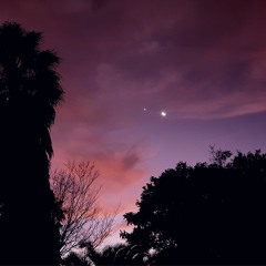 Midnight Conversations With Love