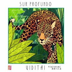 Sur Profundo - Viditai Feat Anicca