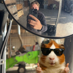 Dik lekker cavia soundje oi voor me vrienden