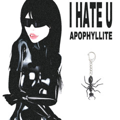 I HATE U