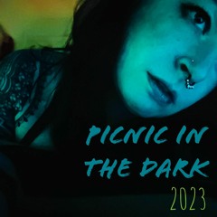Bass @ 2023 Picnic in the Dark(free dl)
