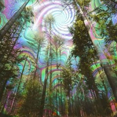 האור שזורח בין הטיפות💦✨🍄‍🟫🍃